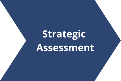Barrington Coaching Strategic Assessment